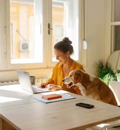 What is Remote Work? Ready Job Seeker